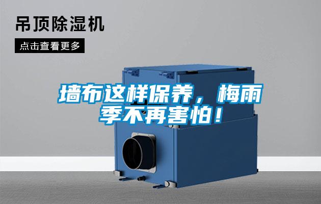墻布這樣保養，梅雨季不再害怕！