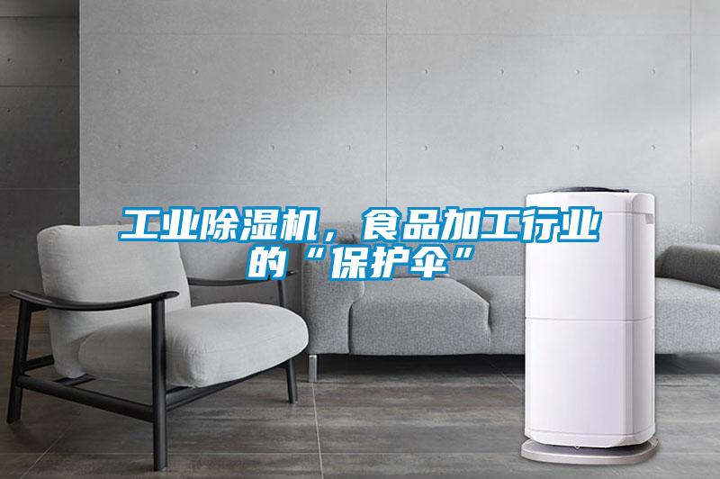 工業(yè)除濕機，食品加工行業(yè)的“保護傘”