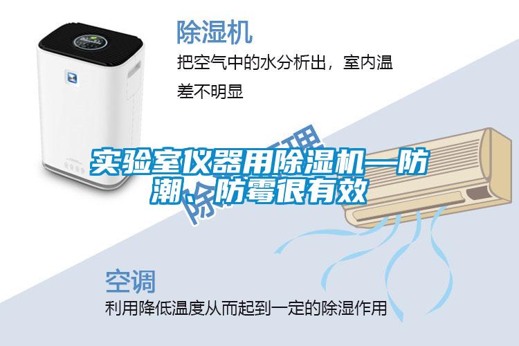 實(shí)驗室儀器用除濕機—防潮、防霉很有效