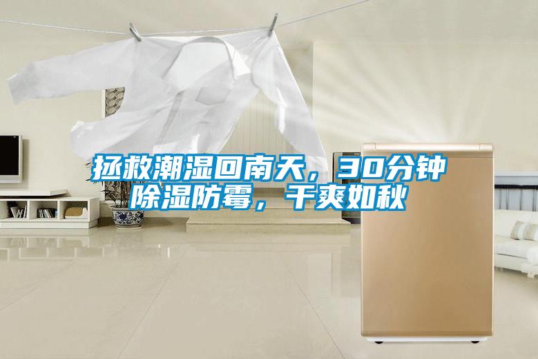 拯救潮濕回南天，30分鐘除濕防霉，干爽如秋