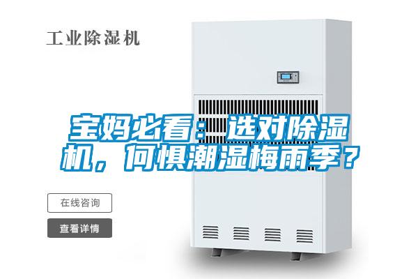 寶媽必看：選對除濕機，何懼潮濕梅雨季？