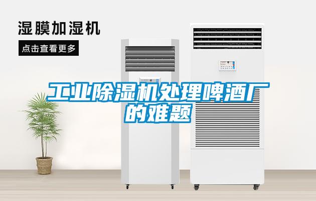 工業(yè)除濕機處理啤酒廠(chǎng)的難題