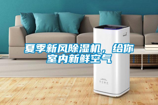 夏季新風(fēng)除濕機，給你室內新鮮空氣