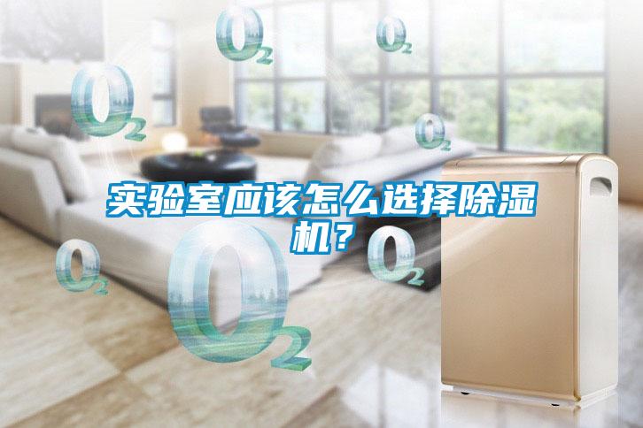 實(shí)驗室應該怎么選擇除濕機？