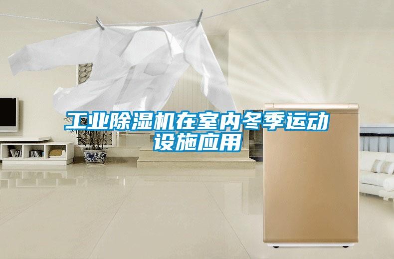 工業(yè)除濕機在室內冬季運動(dòng)設施應用
