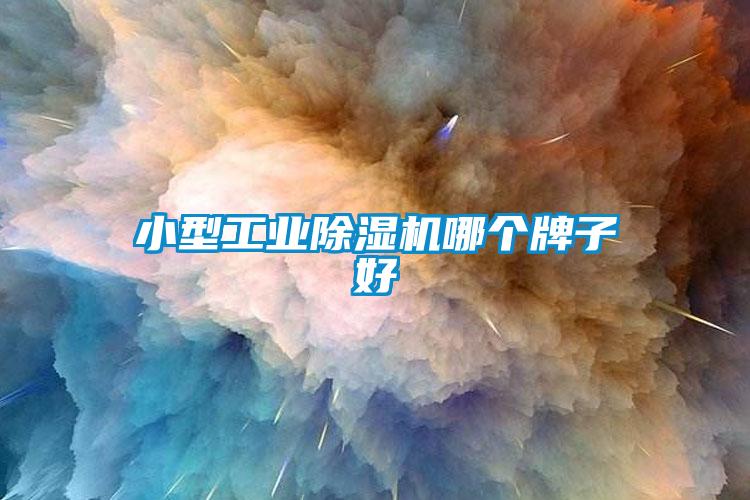 小型工業(yè)除濕機哪個(gè)牌子好
