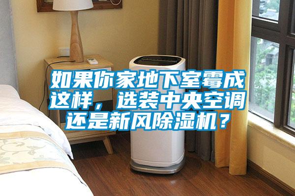 如果你家地下室霉成這樣，選裝中央空調還是新風(fēng)除濕機？