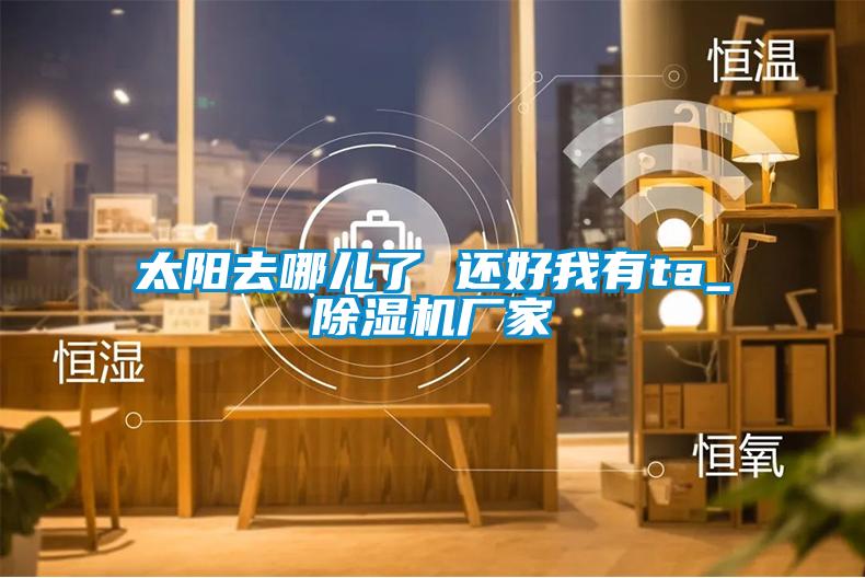 太陽(yáng)去哪兒了 還好我有ta_除濕機廠(chǎng)家