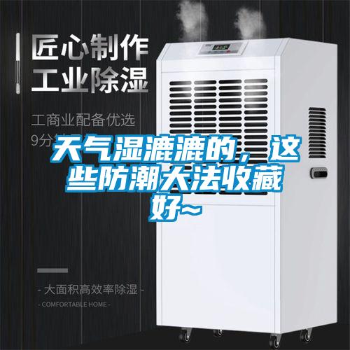 天氣濕漉漉的，這些防潮大法收藏好~