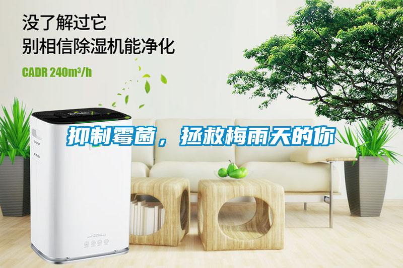 抑制霉菌，拯救梅雨天的你
