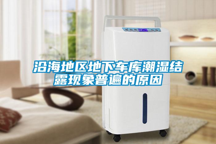 沿海地區地下車(chē)庫潮濕結露現象普遍的原因