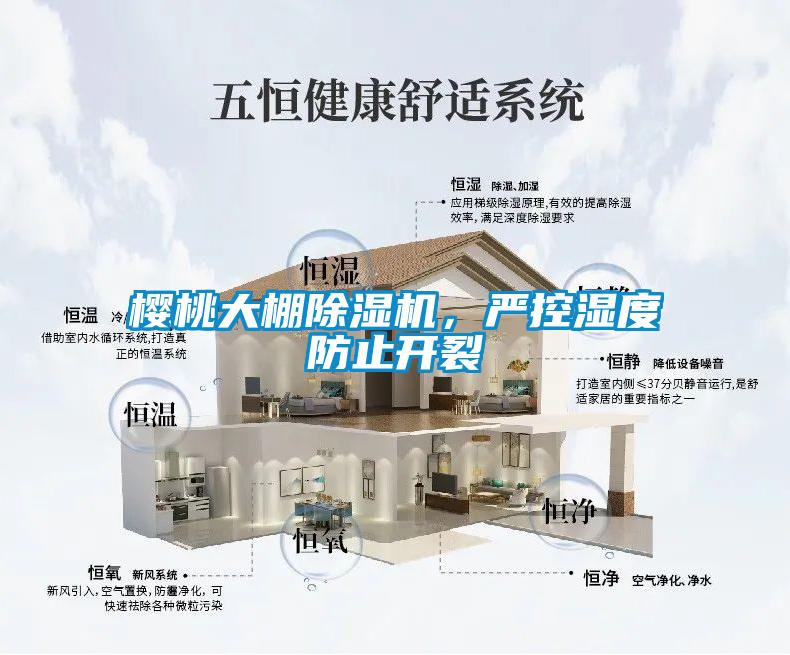 櫻桃大棚除濕機，嚴控濕度防止開(kāi)裂