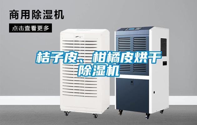桔子皮、柑橘皮烘干除濕機