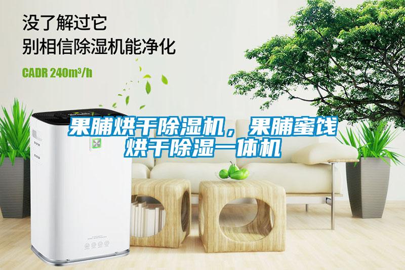 果脯烘干除濕機，果脯蜜餞烘干除濕一體機
