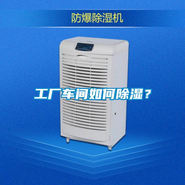 工廠(chǎng)車(chē)間如何除濕？