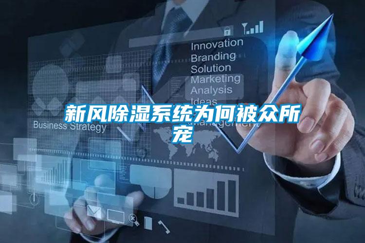 新風(fēng)除濕系統為何被眾所寵