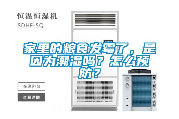家里的糧食發(fā)霉了，是因為潮濕嗎？怎么預防？