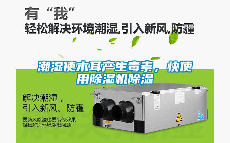 潮濕使木耳產(chǎn)生毒素，快使用除濕機除濕
