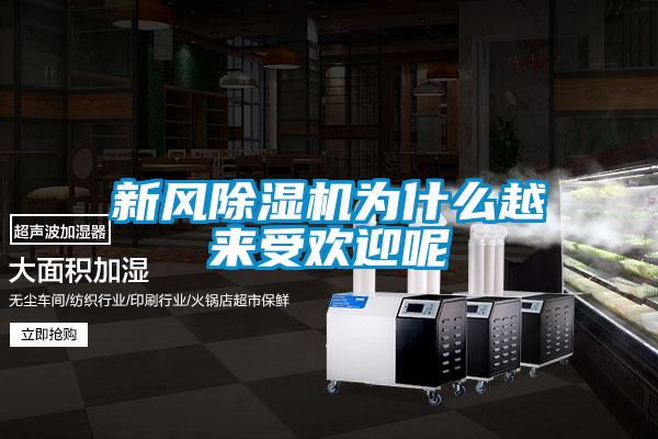 新風(fēng)除濕機為什么越來(lái)受歡迎呢