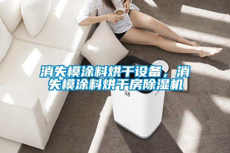 消失模涂料烘干設備，消失模涂料烘干房除濕機