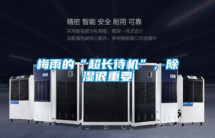 梅雨的“超長(cháng)待機”，除濕很重要
