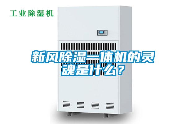 新風(fēng)除濕一體機的靈魂是什么？