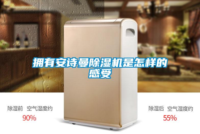擁有安詩(shī)曼除濕機是怎樣的感受