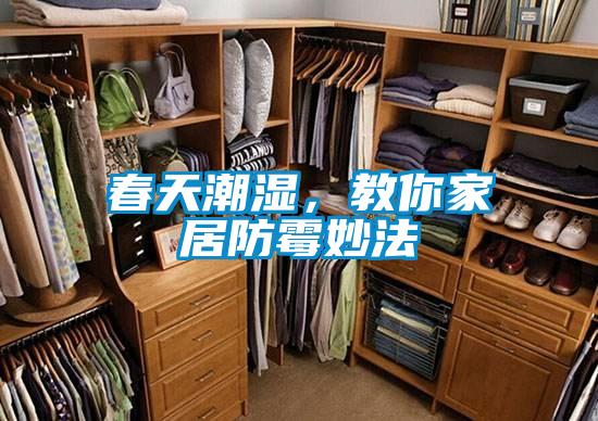 春天潮濕，教你家居防霉妙法