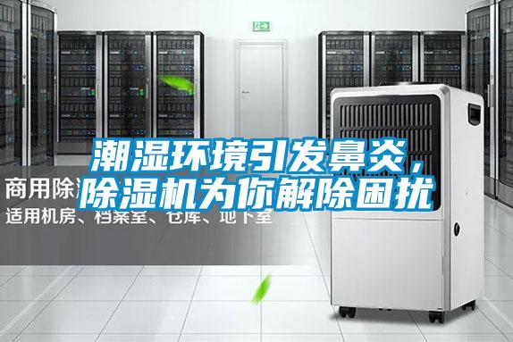 潮濕環(huán)境引發(fā)鼻炎，除濕機為你解除困擾