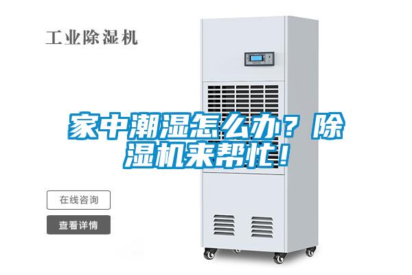 家中潮濕怎么辦？除濕機來(lái)幫忙！