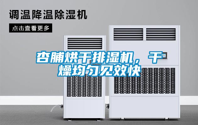 杏脯烘干排濕機，干燥均勻見(jiàn)效快