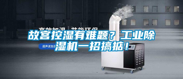 故宮控濕有難題？工業(yè)除濕機一招搞掂！