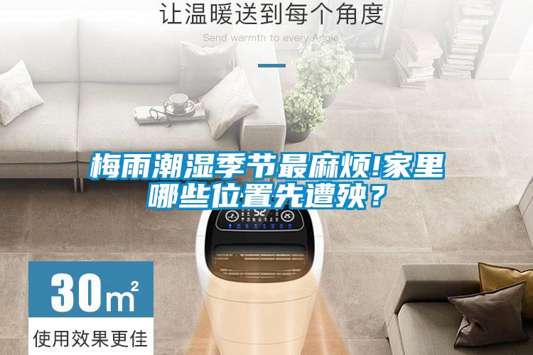 梅雨潮濕季節最麻煩!家里哪些位置先遭殃？