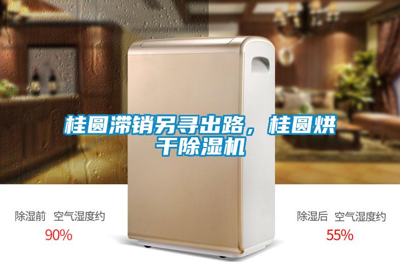 桂圓滯銷(xiāo)另尋出路，桂圓烘干除濕機