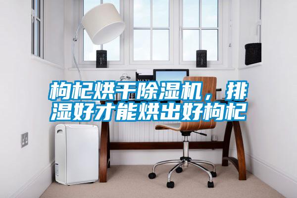 枸杞烘干除濕機，排濕好才能烘出好枸杞