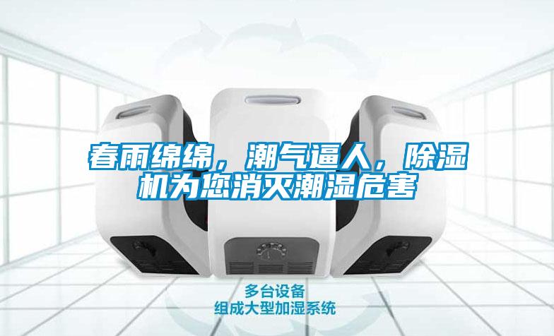 春雨綿綿，潮氣逼人，除濕機為您消滅潮濕危害