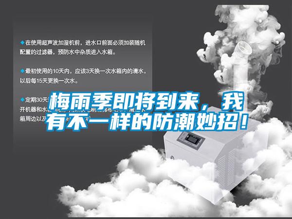 梅雨季即將到來(lái)，我有不一樣的防潮妙招！