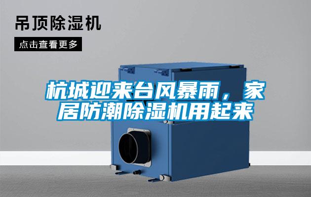 杭城迎來(lái)臺風(fēng)暴雨，家居防潮除濕機用起來(lái)