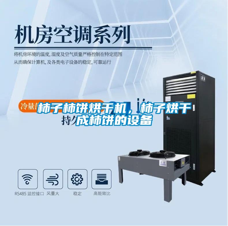 柿子柿餅烘干機,柿子烘干成柿餅的設備