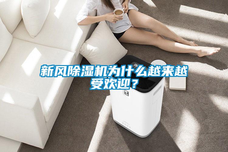 新風(fēng)除濕機為什么越來(lái)越受歡迎？