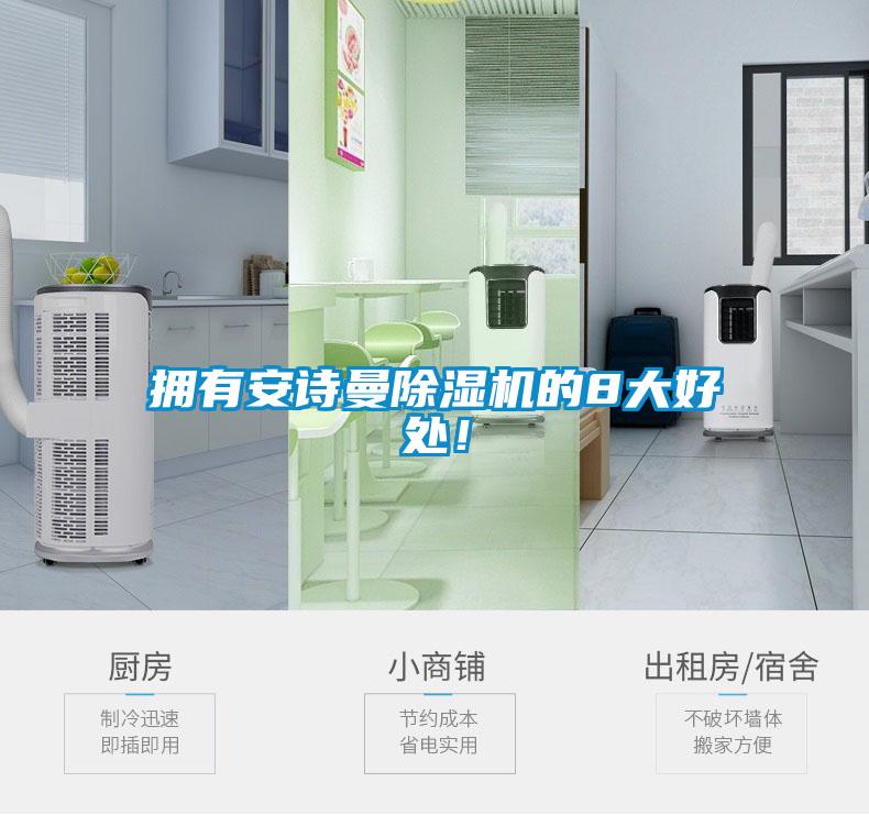 擁有安詩(shī)曼除濕機的8大好處！