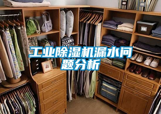 工業(yè)除濕機漏水問(wèn)題分析