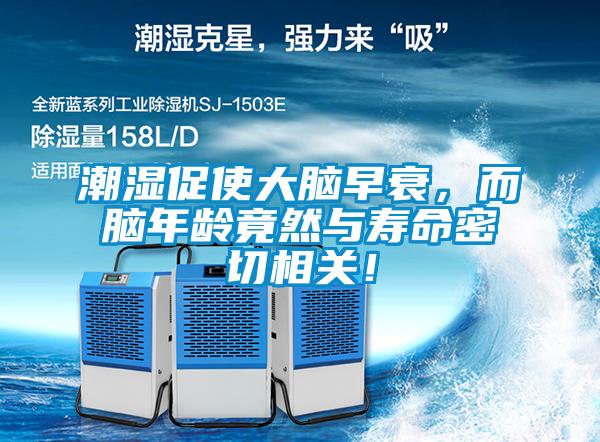 潮濕促使大腦早衰，而腦年齡竟然與壽命密切相關(guān)！