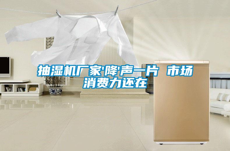 抽濕機廠(chǎng)家'降'聲一片 市場(chǎng)消費力還在
