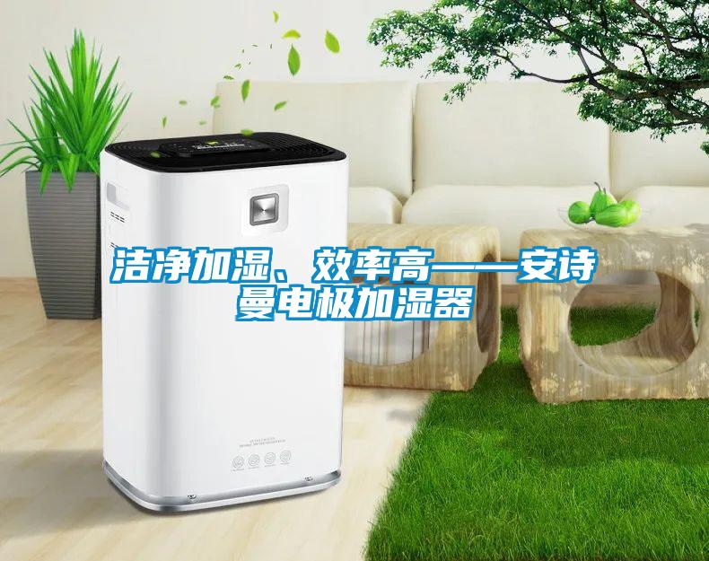 潔凈加濕、效率高——安詩(shī)曼電極加濕器