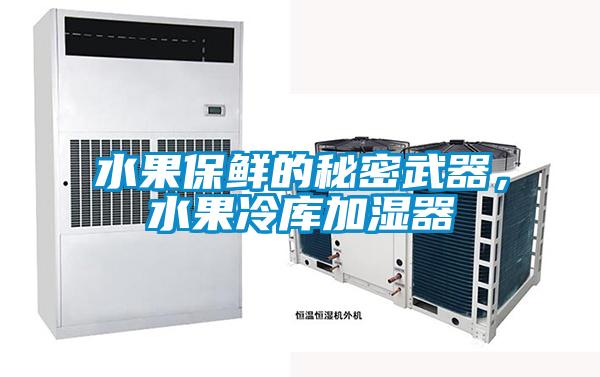水果保鮮的秘密武器，水果冷庫加濕器