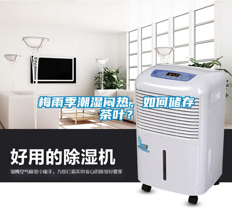 梅雨季潮濕悶熱，如何儲存茶葉？