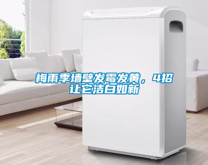 梅雨季墻壁發(fā)霉發(fā)黃，4招讓它潔白如新