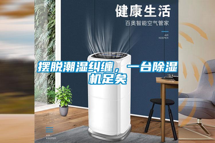 擺脫潮濕糾纏，一臺除濕機足矣