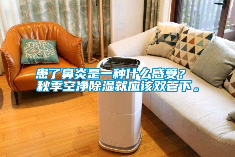 患了鼻炎是一種什么感受？ 秋季空凈除濕就應該雙管下。